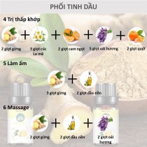[HCM]Tinh dầu Gừng Skylen nguyên chất nhập khẩu hương thơm cay ấm 10ML 