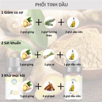 [HCM]Tinh dầu Gừng Skylen nguyên chất nhập khẩu hương thơm cay ấm 10ML 