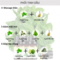 Tinh dầu húng quế nguyên chất xông phòng giải cảm chiết xuất từ cây lá thiên nhiên 100ml Skylen