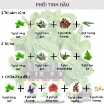 Tinh dầu húng quế nguyên chất xông phòng giải cảm chiết xuất từ cây lá thiên nhiên 100ml Skylen