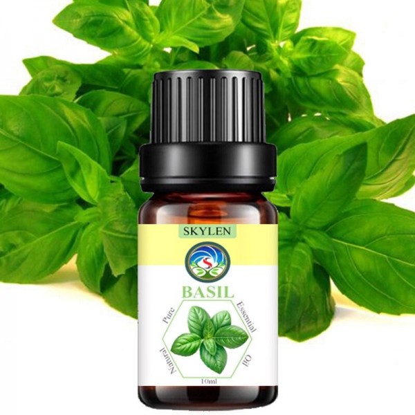 Tinh dầu húng quế nguyên chất xông phòng giải cảm chiết xuất từ cây lá thiên nhiên 100ml Skylen