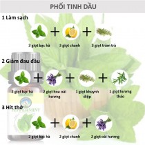 [HCM]Skylen Tinh Dầu Bạc Hà Chiết Xuất Thiên Nhiên Đuổi Muỗi Nguyên Chất Giảm Căng Thẳng Thư Giãn Giảm Đau 100ml