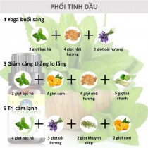 [HCM]Skylen Tinh Dầu Bạc Hà Chiết Xuất Thiên Nhiên Đuổi Muỗi Nguyên Chất Giảm Căng Thẳng Thư Giãn Giảm Đau 100ml