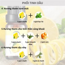 [HCM]Tinh Dầu Chanh Skylen Khuếch Tán Hương Xông Thơm Phòng Giảm Stress Khử Mùi Điều Hòa Không Khí 100ml