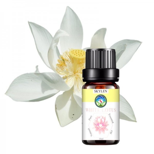 [HCM]Tinh dầu hoa sen trắng mang đến một mùi thơm dìu dịu nhẹ nhàng thanh khiết mát trong 10ml 