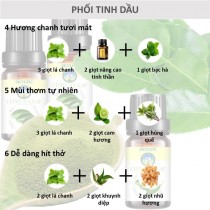 [HCM]Tinh dầu lá chanh the mát sạch sẽ nhập khẩu nguyên chất Ấn Độ Skylen 100ml