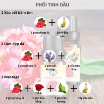 [HCM]Tinh dầu phong lữ nguyên chất Geranium mùi dễ chịu thơm phòng làm đẹp da Skylen 10ml