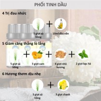 [HCM]Tinh dầu sả hồng nhập khẩu Ấn Độ nguyên chất Skylen 1000ml