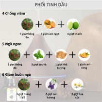[HCM]Tinh dầu thông đỏ công dụng hỗ trợ trong kháng khuẩn giảm đau tăng cường sinh lực Skylen 1000ml