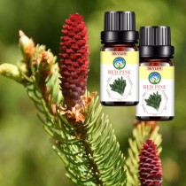 [HCM]Tinh dầu thông đỏ công dụng hỗ trợ trong kháng khuẩn giảm đau tăng cường sinh lực Skylen 1000ml