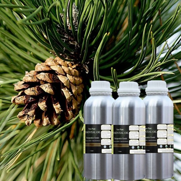 [HCM]Tinh dầu thông đỏ công dụng hỗ trợ trong kháng khuẩn giảm đau tăng cường sinh lực Skylen 1000ml