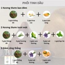 [HCM]Tinh dầu thông đỏ công dụng hỗ trợ trong kháng khuẩn giảm đau tăng cường sinh lực Skylen 1000ml