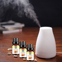 Tinh Dầu Quế Cinnamon 100% nguyên chất từ thiên nhiên khuếch tán, xông phòng
