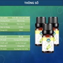 [HCM]Tinh dầu tràm gió nguyên chất giảm cảm giảm ho đuổi muỗi chưng cất thiên nhiên 10ml 
