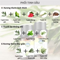 [HCM]Tinh dầu tràm gió nguyên chất giảm cảm giảm ho đuổi muỗi chưng cất thiên nhiên 10ml 