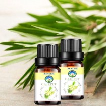 [HCM]Tinh dầu tràm gió nguyên chất giảm cảm giảm ho đuổi muỗi chưng cất thiên nhiên 10ml 