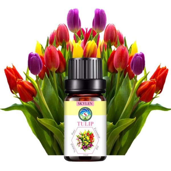 [HCM]Tinh dầu hoa Tulip mang hương thơm đặc trưng rất quyến giúp thư giãn cơ thể dưỡng da khử mùi hiệu quả Skylen 100ml 