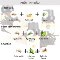 [HCM]Tinh dầu vani nguyên chất tự nhiên tạo xông hương chiết xuất từ cây vanila 10ml Skylen