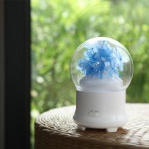 Máy xông khuếch tán tinh dầu hoa cẩm tú cầu xanh dương